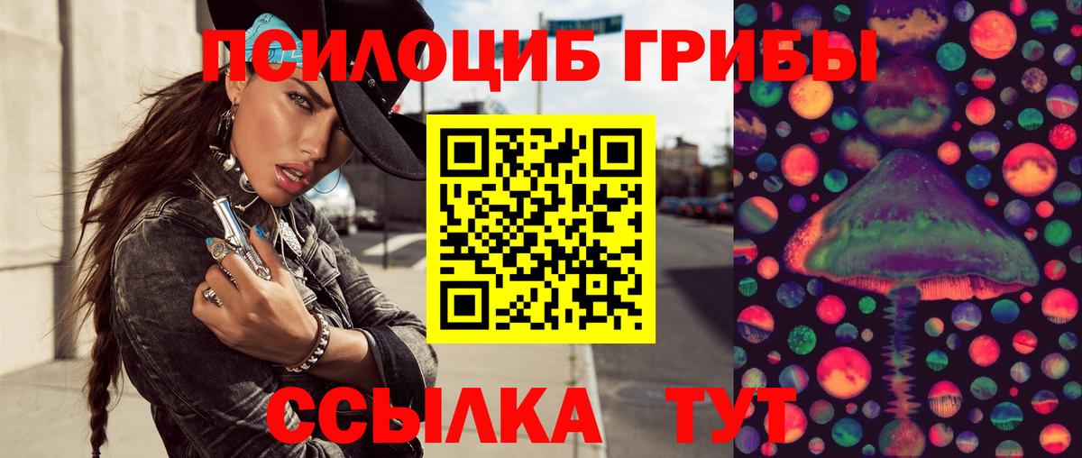 Галлюциногенные грибы мухоморы Гусиноозёрск